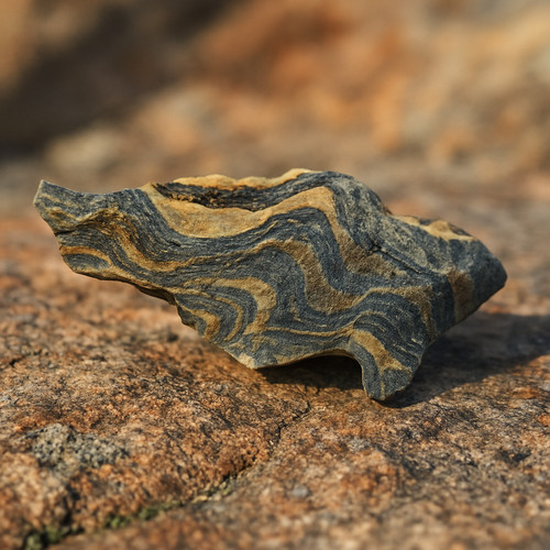 Stromatolith rohstein - stromatolith,