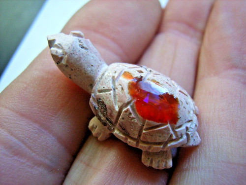 Schildkröte aus einem - schildkrÖte,