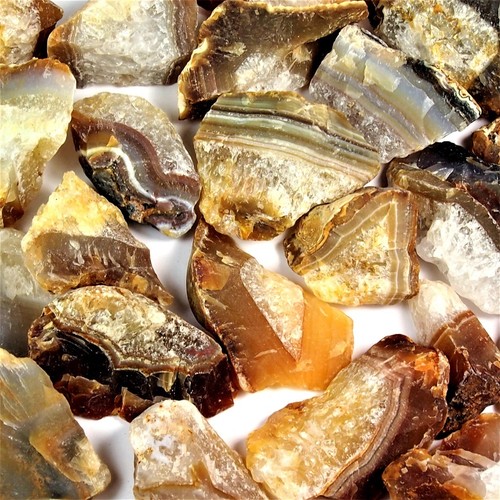 250 achat reine natur - 250,